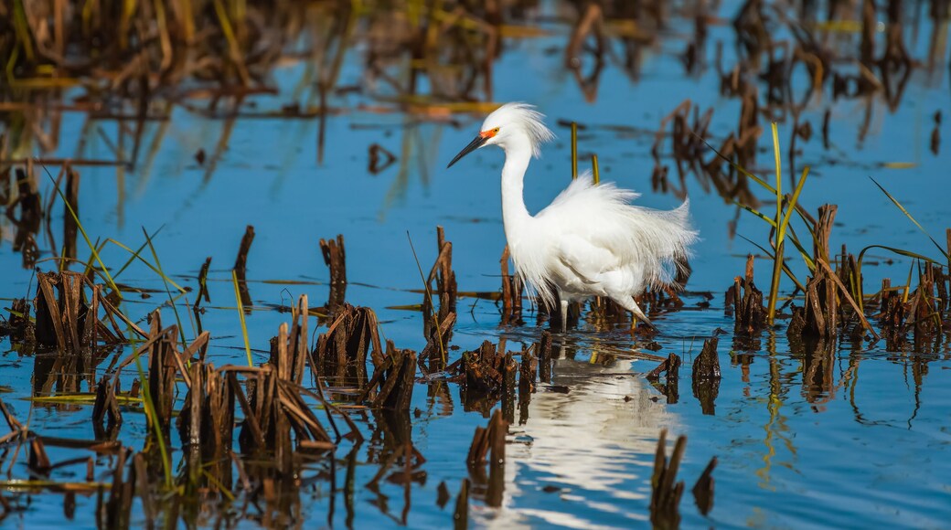 오타와 국립 야생동물 보호구역