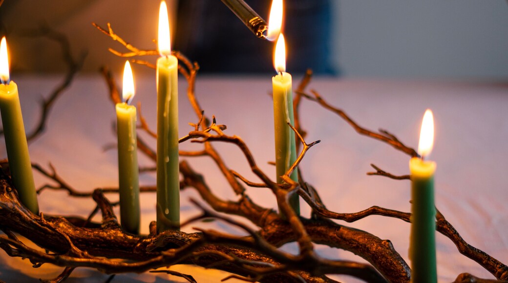 tree branch with wax candles, evening mood