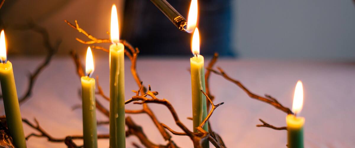 tree branch with wax candles, evening mood