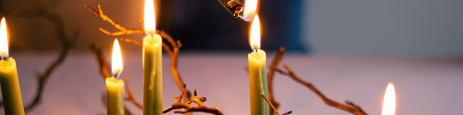 tree branch with wax candles, evening mood
