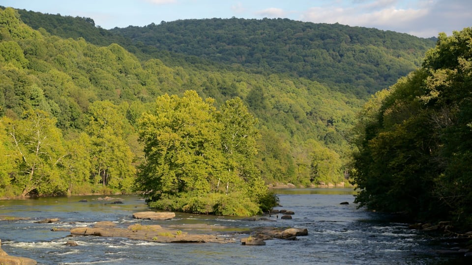 A river flowing through a forested valley with a mountain in the background.