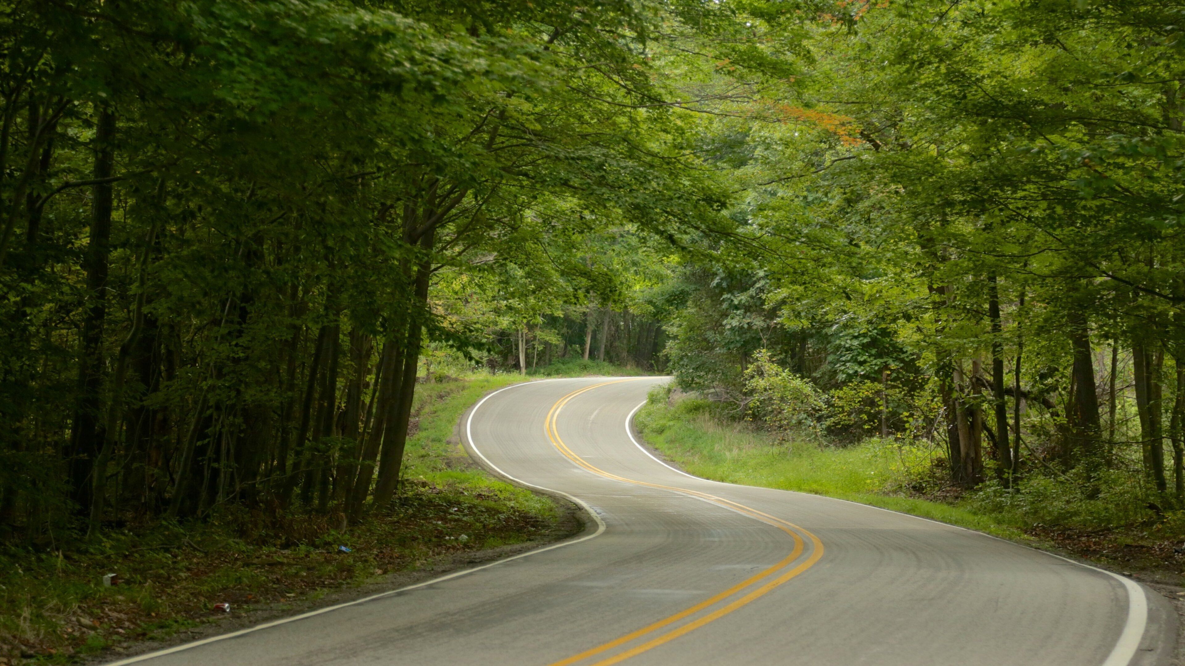 Ohiopyle State Park featuring forests