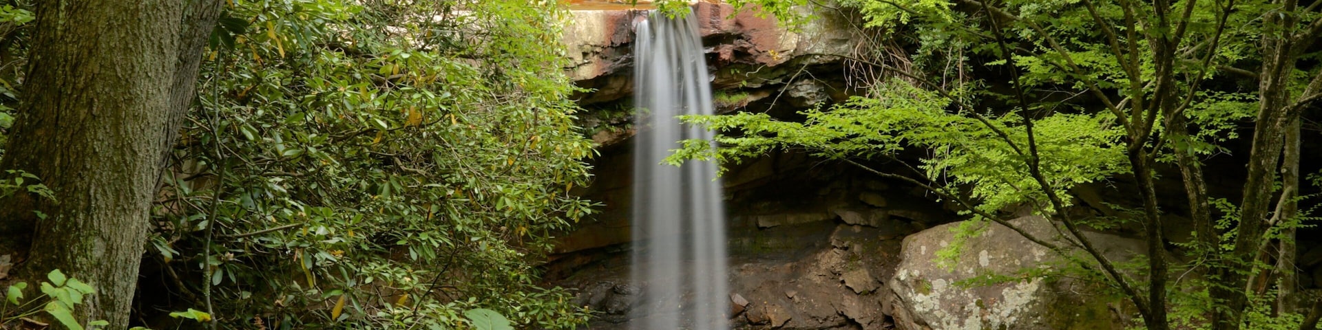 Ohiopyle State Park featuring rainforest and a waterfall
