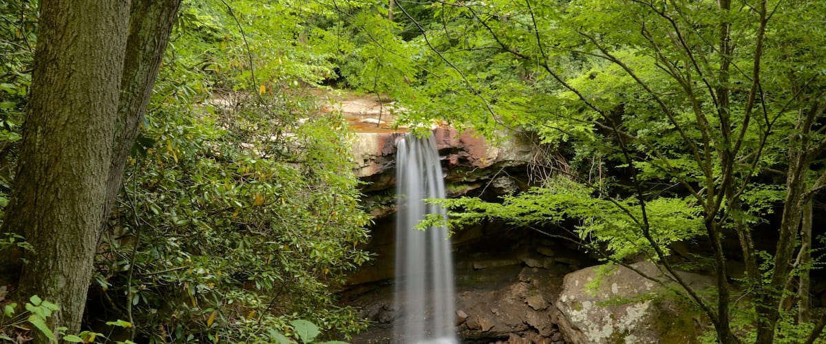 A waterfall in a forested area with rocks and greenery.
