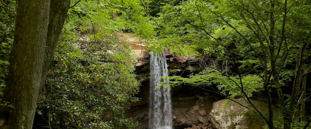 Uniontown featuring rainforest and a waterfall