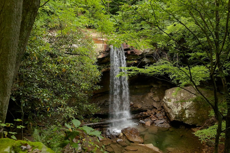 A waterfall in a forested area with dense foliage and rocky terrain.