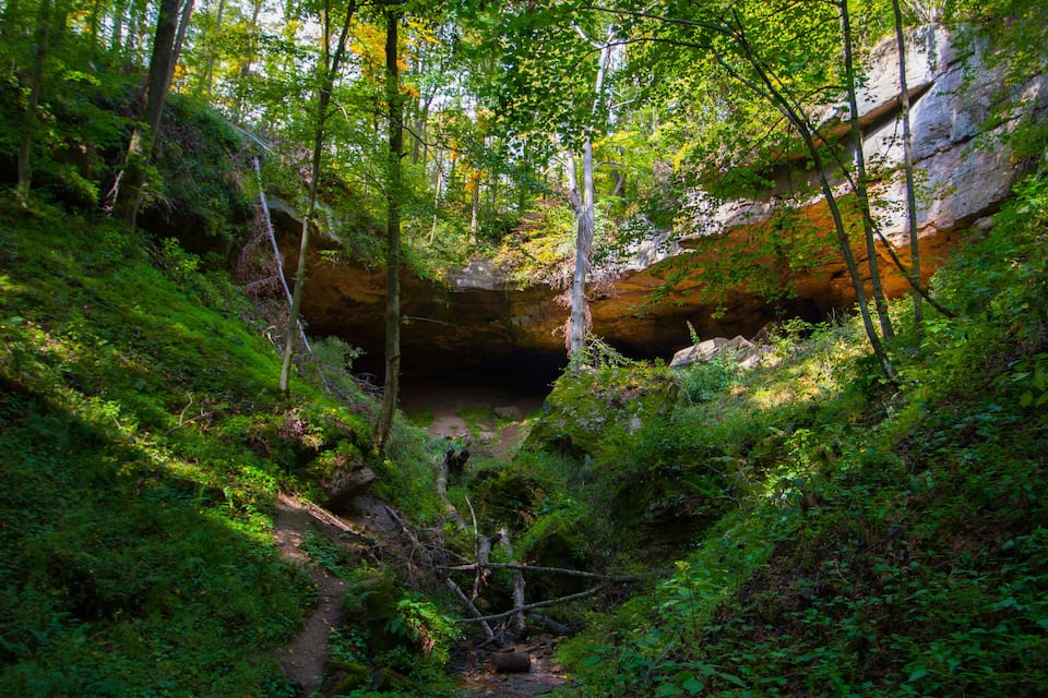 A forested area with a rocky overhang and a narrow path.