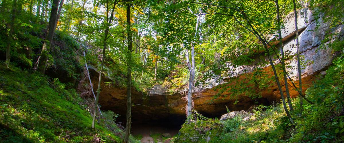 A forested area with a rocky overhang and a narrow path.