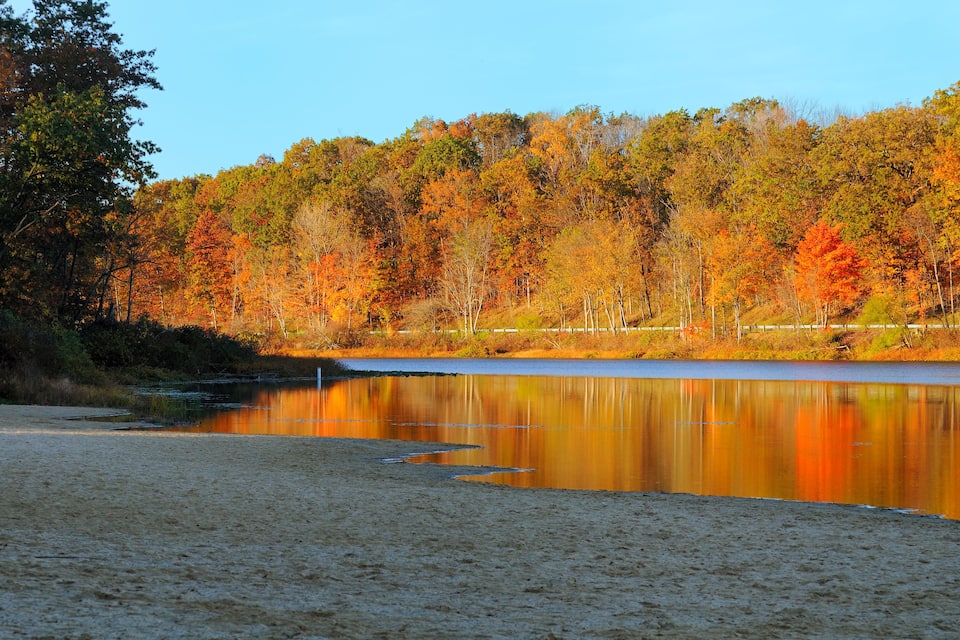 A lake surrounded by autumn-colored trees and a sandy beach.
