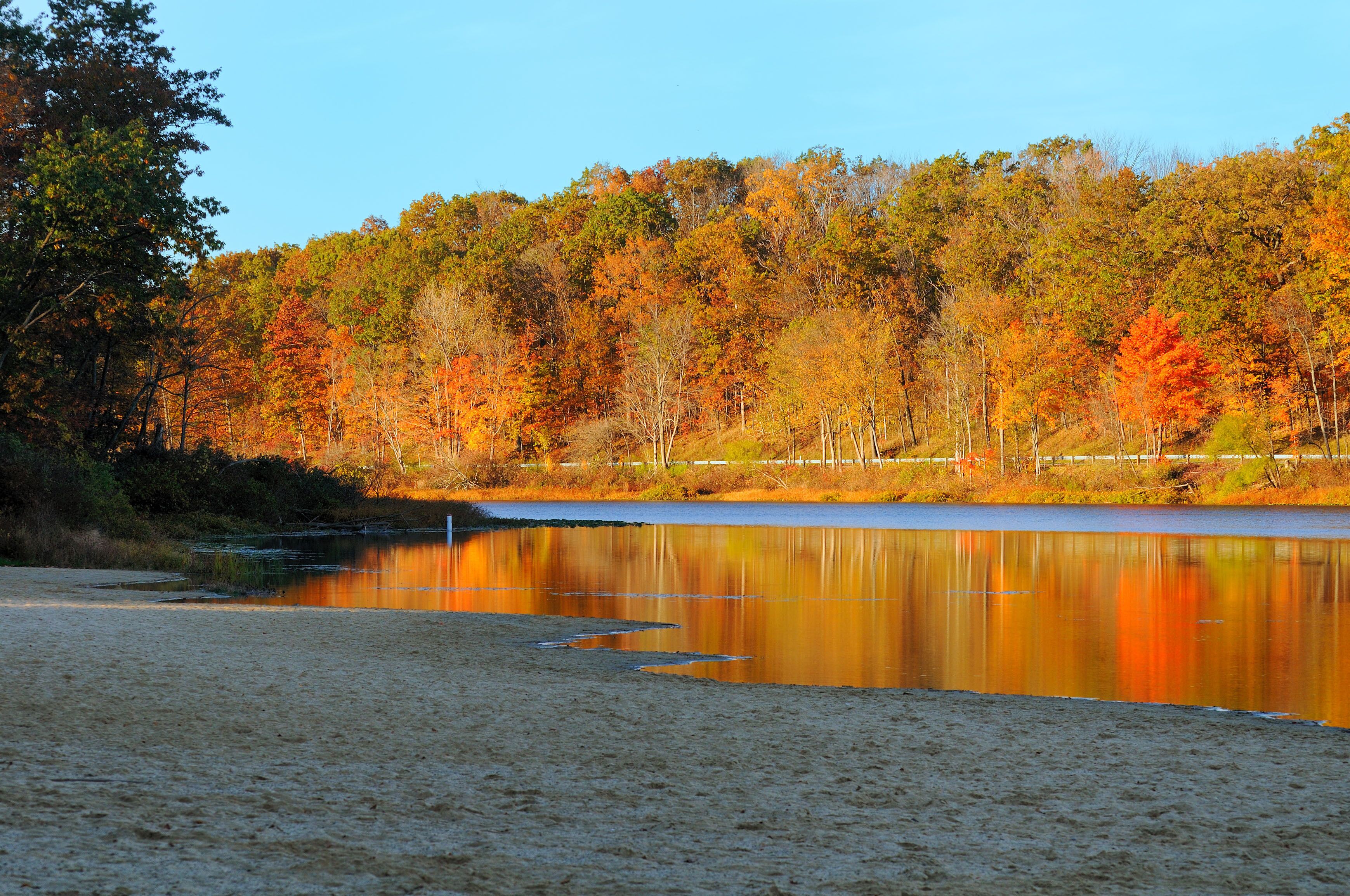 A lake surrounded by autumn-colored trees and a sandy beach.