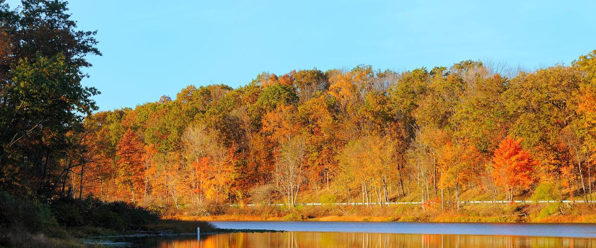 A lake surrounded by autumn-colored trees and a sandy beach.
