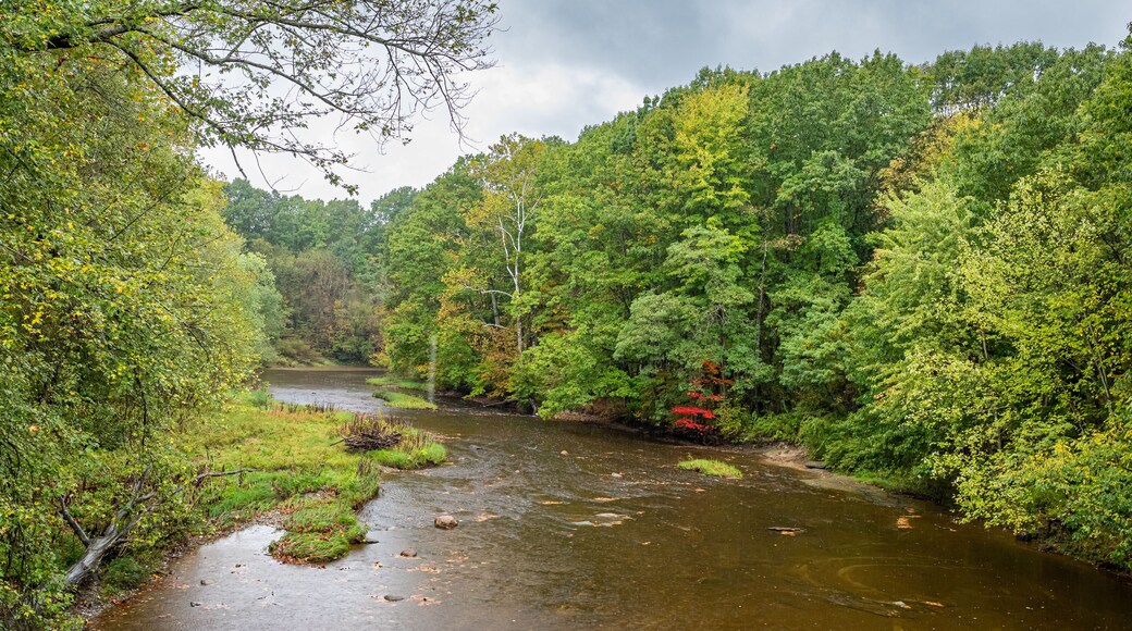 West Branch Conneaut Creek Ashtabula County Ohio