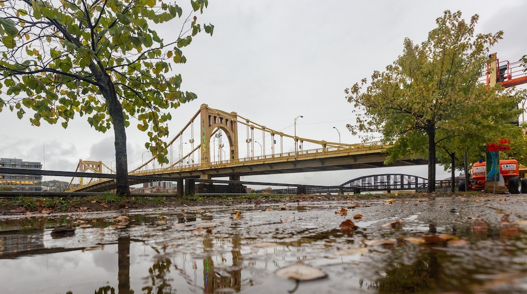 Three Rivers Heritage Trail which includes a bridge