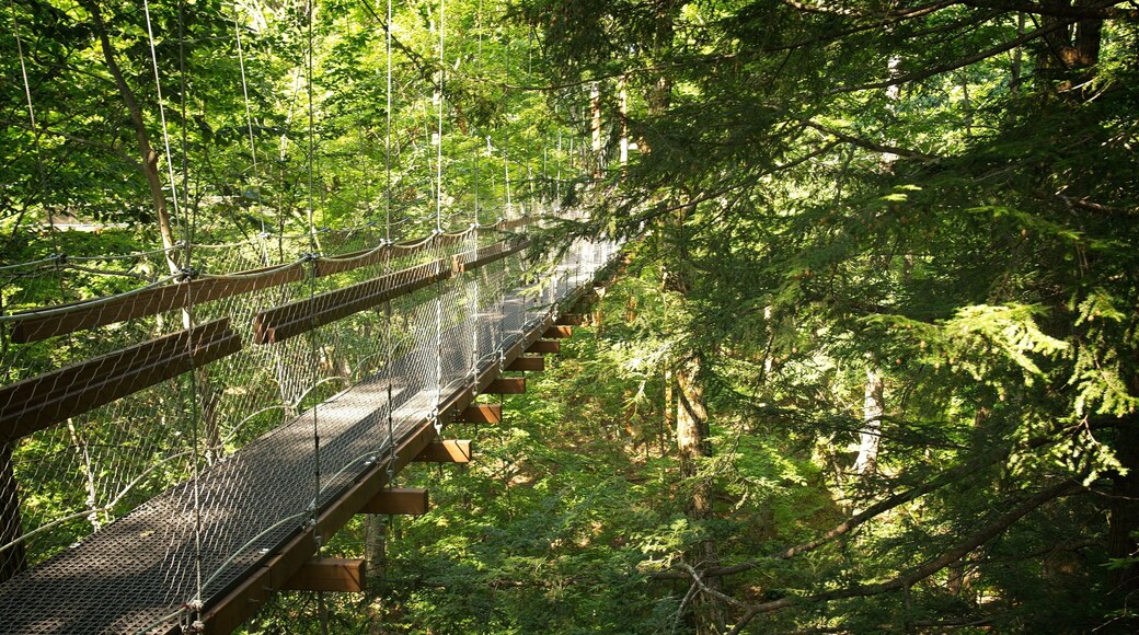 The Holden Arboretum