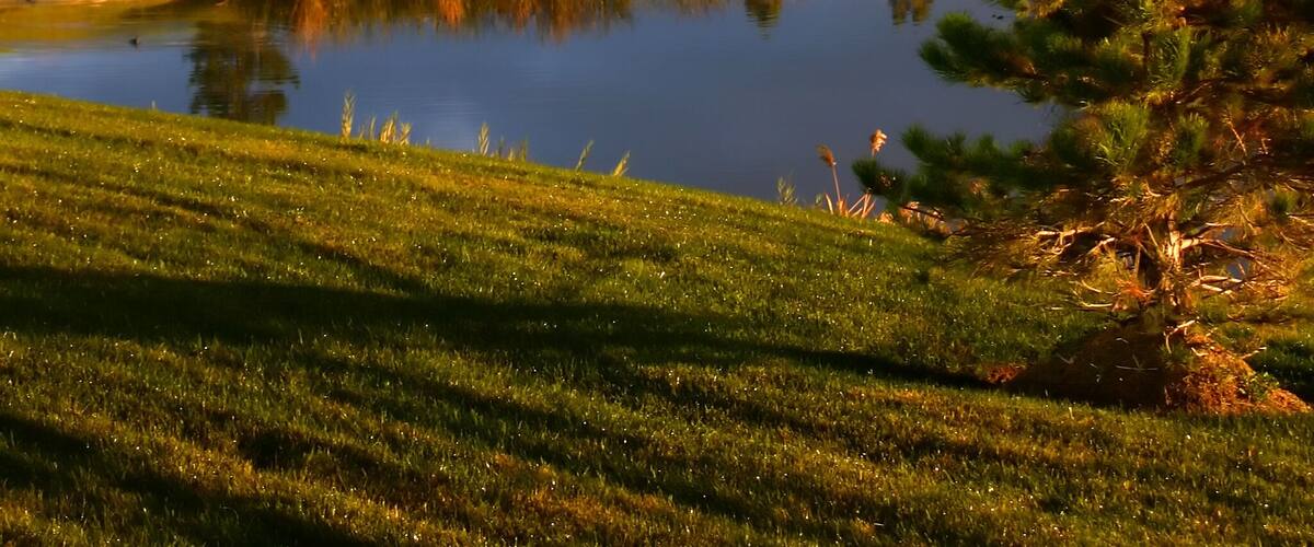 sunrise over the golf course