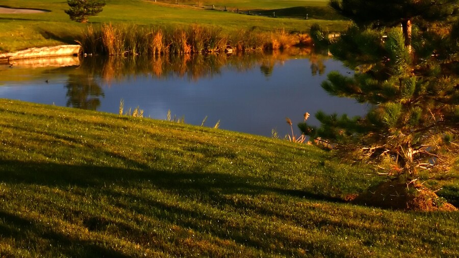 sunrise over the golf course