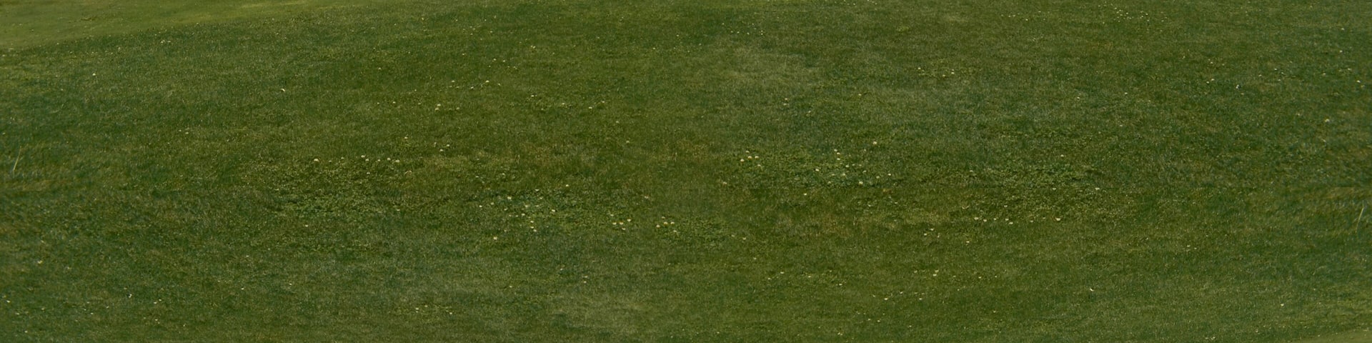 A beautiful view of lush green golf course surrounded by beautiful hills with pine trees at Pahalgam Kashmir India.
