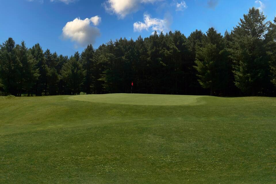 A golf course with a red flag on the green, surrounded by dense trees and a clear blue sky.