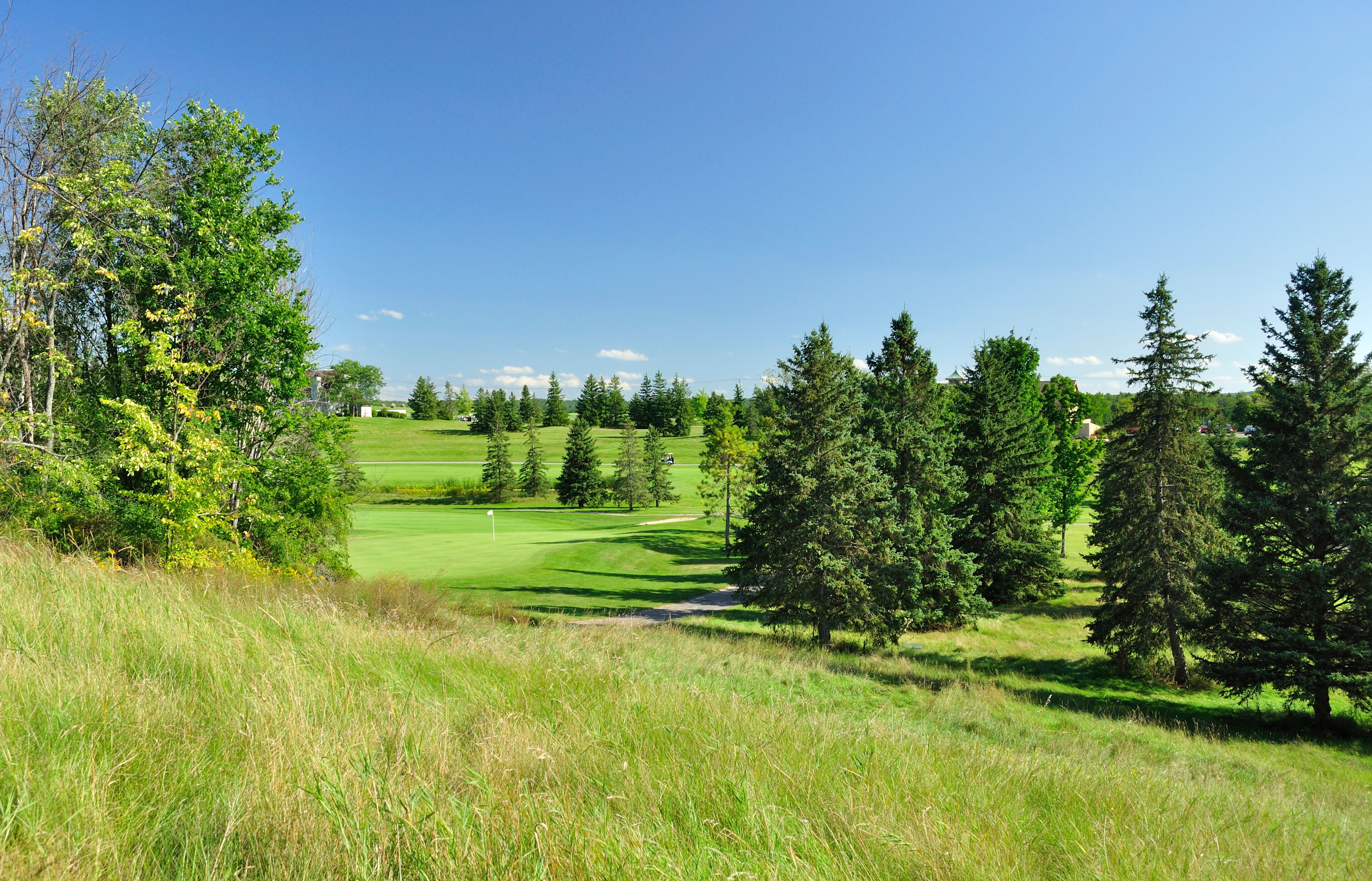 summer landscape