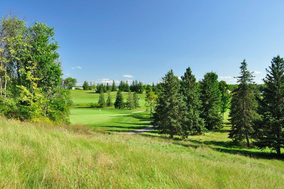 En golfbana med klar himmel, grön gräsmatta och höga träd.