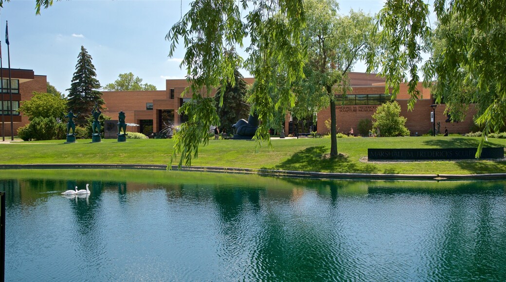 Marshall M. Fredericks Sculpture Museum showing bird life, a park and a lake or waterhole
