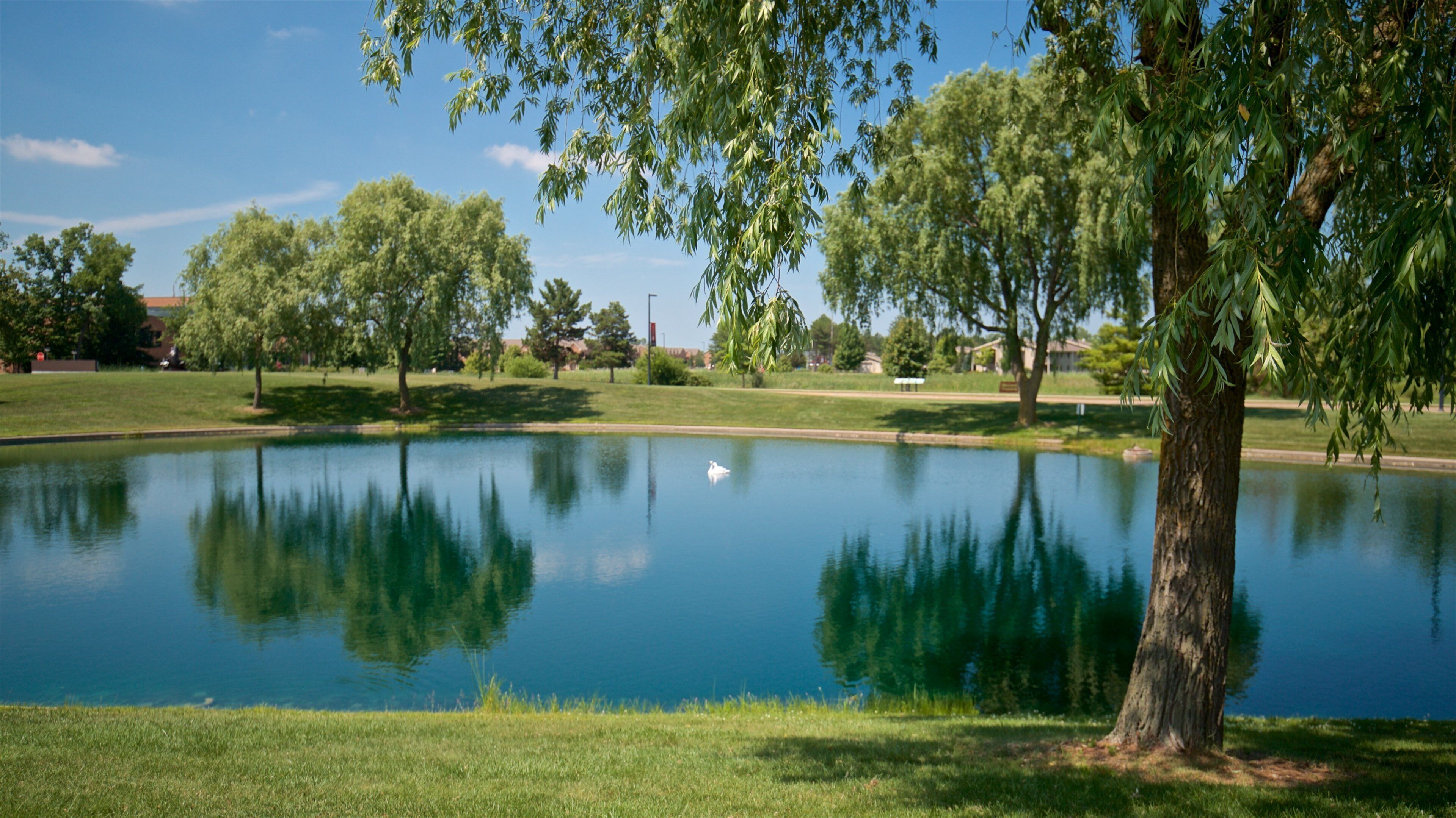 Marshall M. Fredericks Sculpture Museum featuring a lake or waterhole