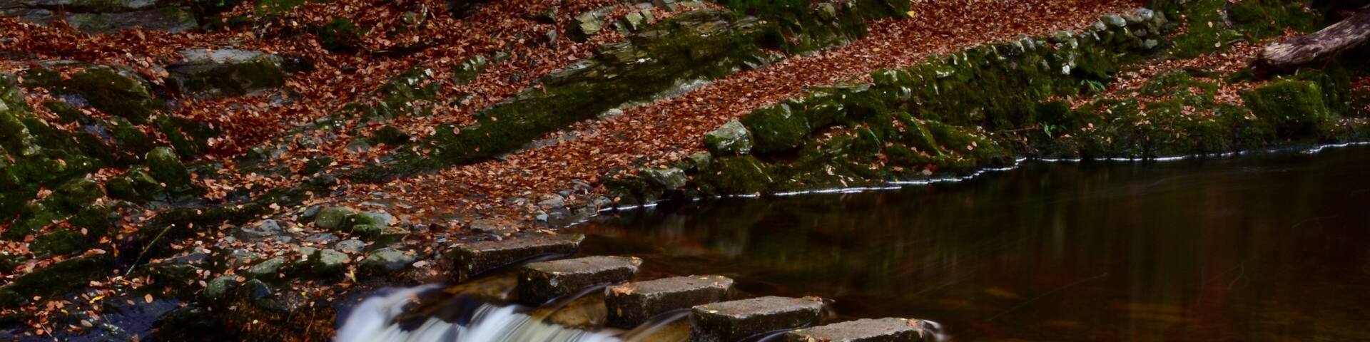 Stepping stones over running water