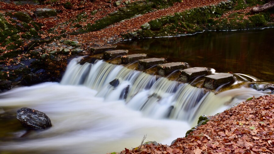Stepping stones over running water