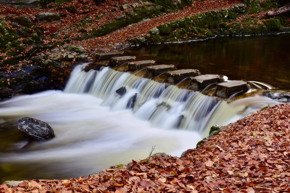 A waterfall cascading over a series of stone steps surrounded by autumn leaves.