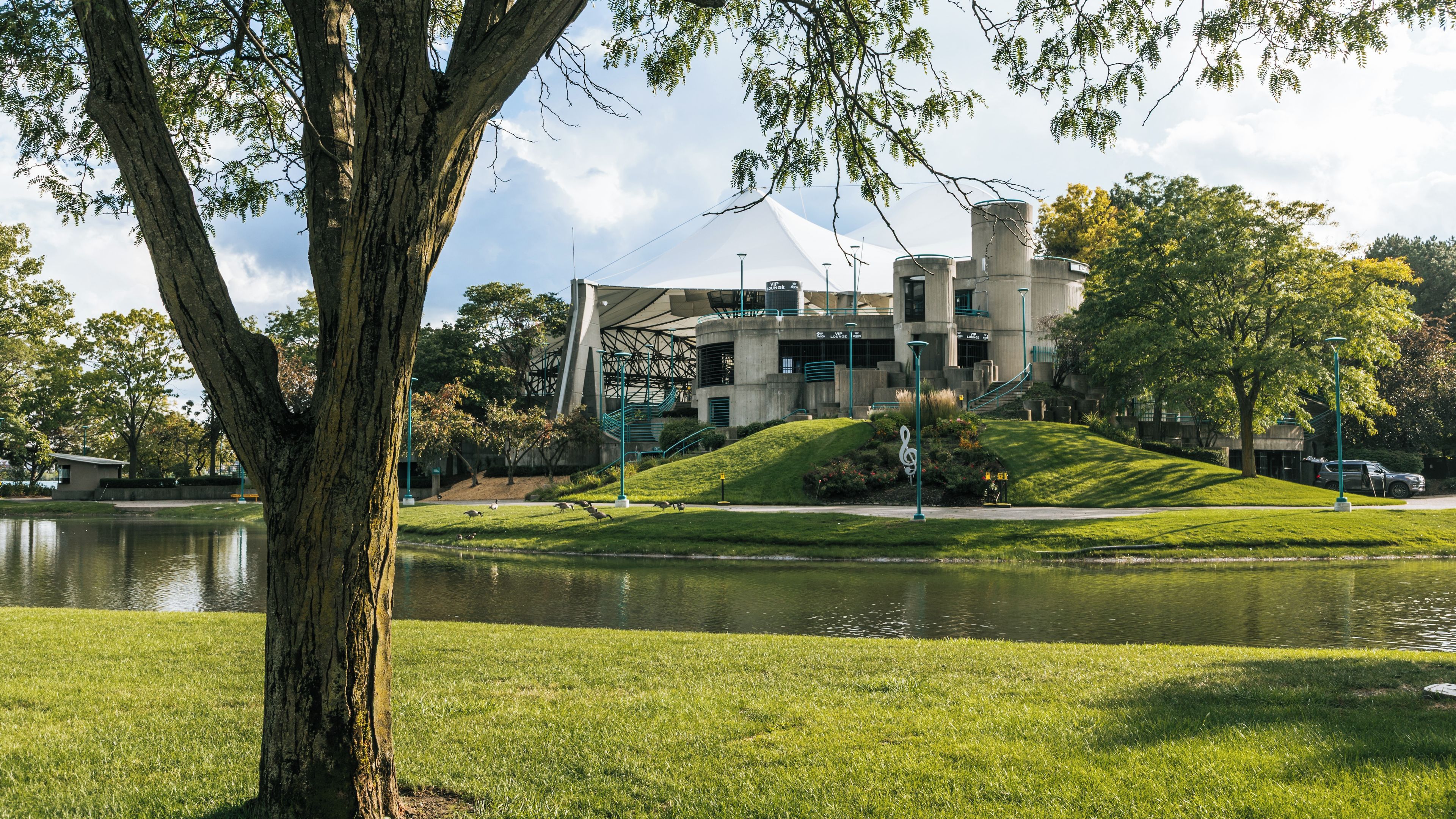 A modern building with a unique architectural design, a pond, and a large tree in the foreground.