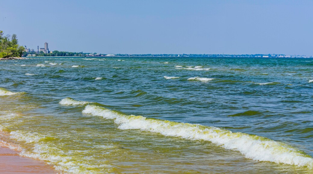 Bay City State Recreation Area