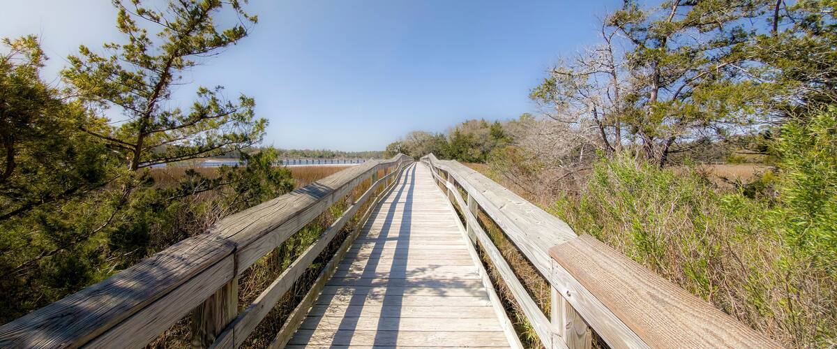 Wood bridge spanning across acres of golden reeds and marsh in a classic South Carolina landscape setting of trees