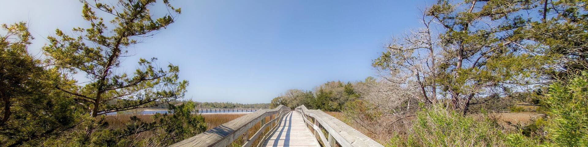 Wood bridge spanning across acres of golden reeds and marsh in a classic South Carolina landscape setting of trees