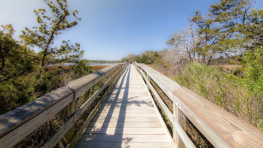 Vereen Memorial Historical Gardens