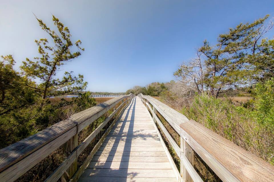 A wooden boardwalk leading through a natural landscape with trees and shrubs.