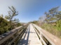 Wood bridge spanning across acres of golden reeds and marsh in a classic South Carolina landscape setting of trees