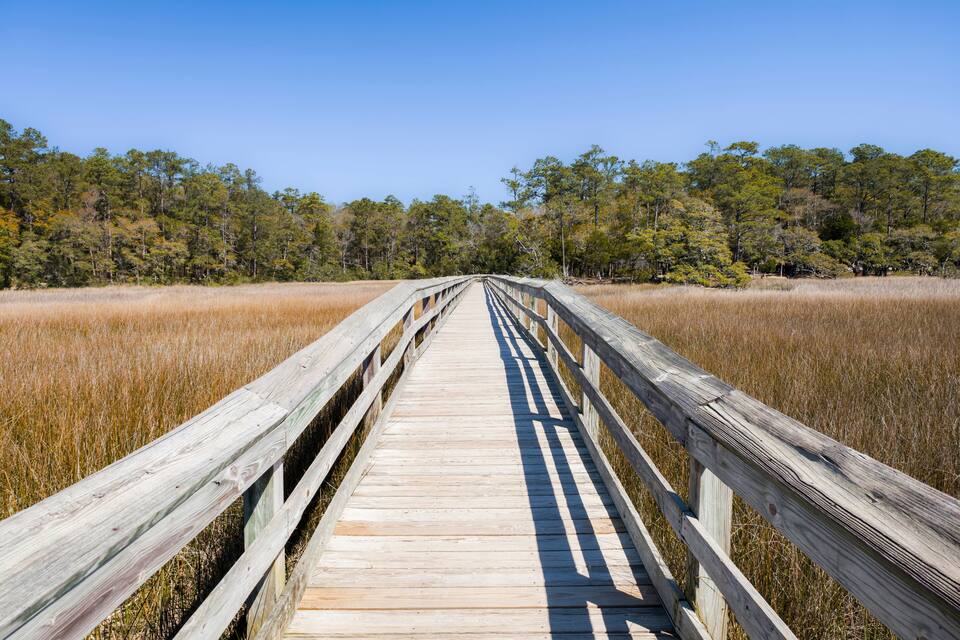 A wooden boardwalk leading through a coastal marsh with tall grasses and trees in the background.