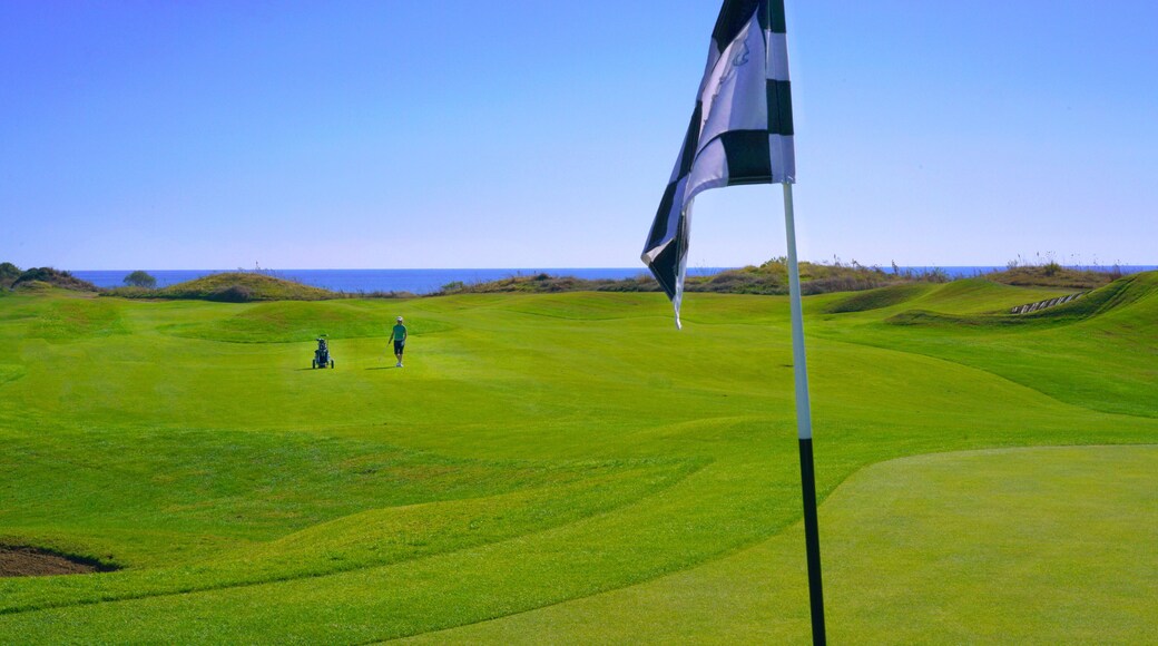 Farmstead Golf Links