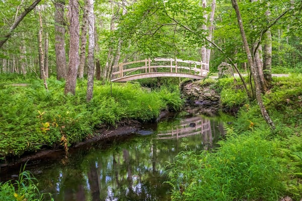 Scenic summer landscape in Wilbour Woods, Rhode Island