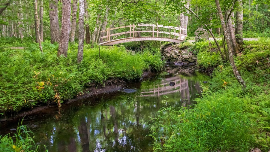 아일랜드 크릭 트레일