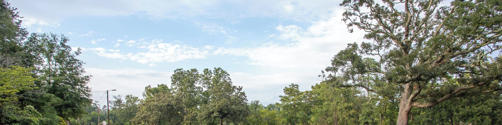 Wilmington_WilmingtonOakdaleCemetery_553248621532661227_0009