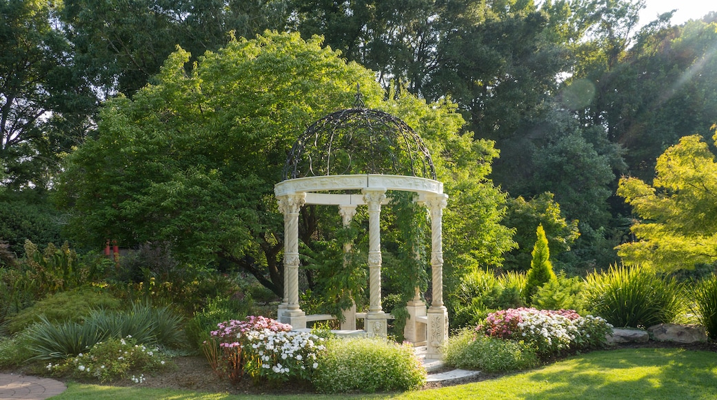 New Hanover County Arboretum Gazebo. Photography background., Shutterstock ID 1399534502, Purchase Order: SP-1891 Wave 0, Client/Licensee: Hotels.com
