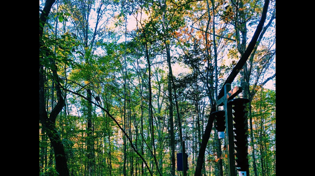 Colors are the smiles of nature. 💚