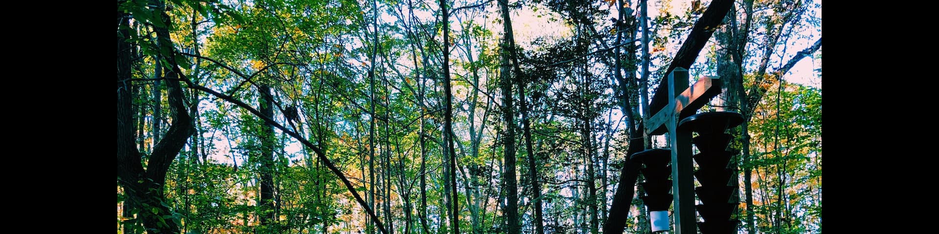 Colors are the smiles of nature. 💚