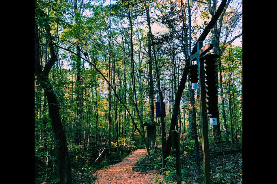 Un sentier forestier bordé d’arbres et agrémenté d’un panneau indicateur en bois.