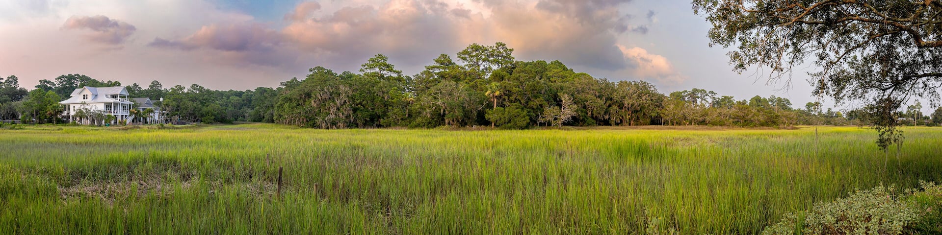 Wide panorama of the coastal salt marsh and forest with houses along the coast of South Carolina