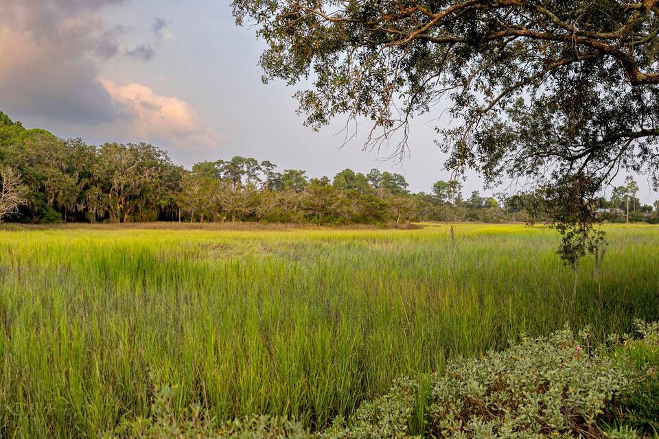 A lush green field with a white house and dense trees in the background.