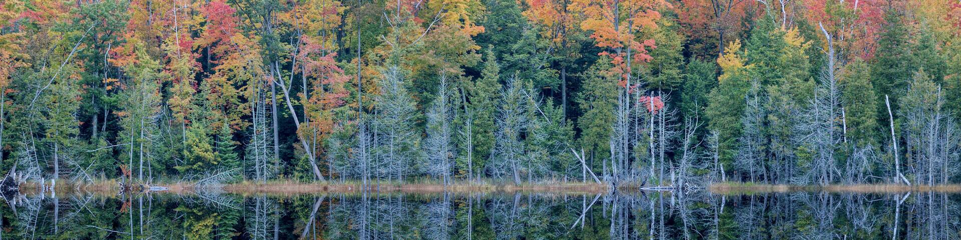 Autumn shoreline of Tucker Lake with mirrored reflections in calm water, Sleeping Bear Dunes National Lakeshore, Michigan, USA