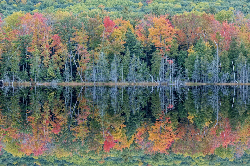 Une forêt aux couleurs automnales se reflétant sur un lac paisible.
