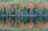 Autumn shoreline of Tucker Lake with mirrored reflections in calm water, Sleeping Bear Dunes National Lakeshore, Michigan, USA
